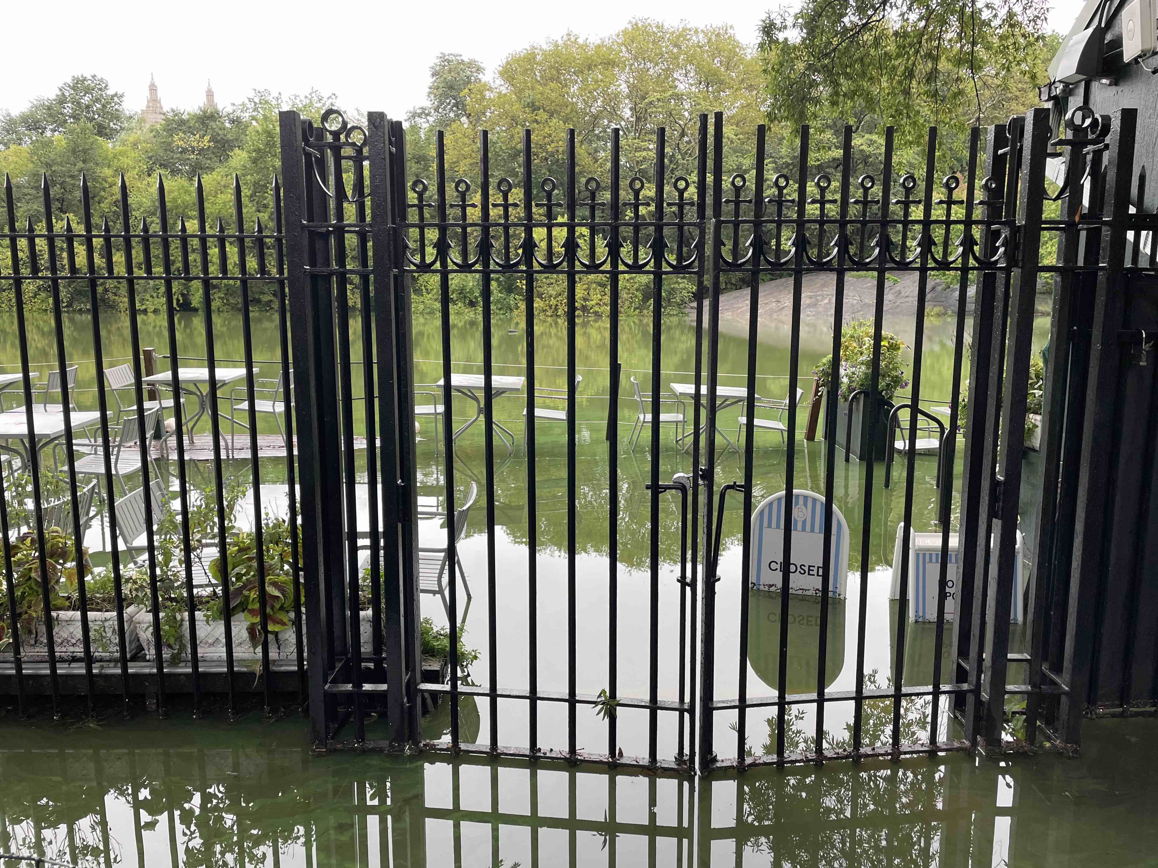 Caf&eacute; im Central Park