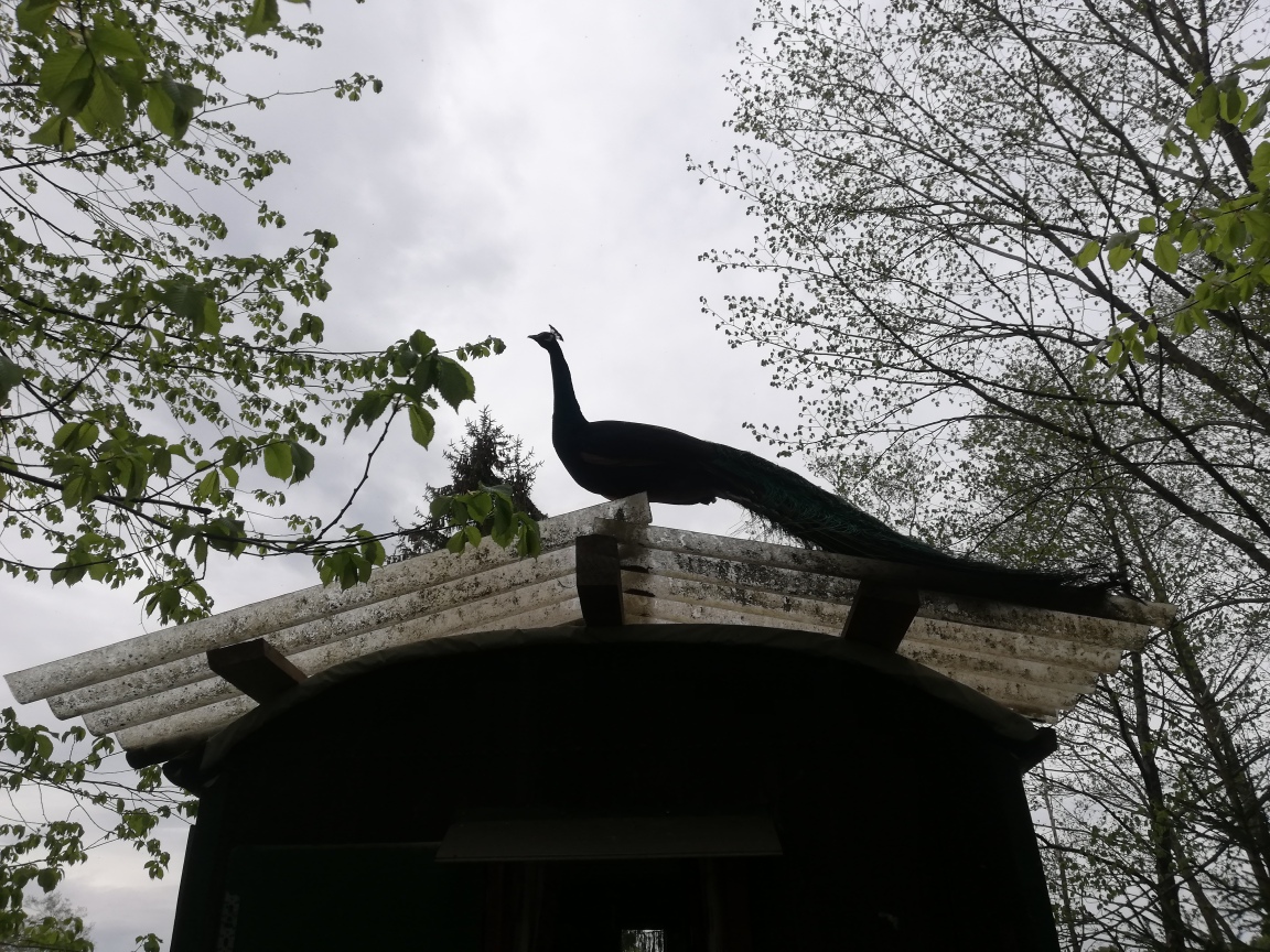 Photo: Bero von Fraunberg