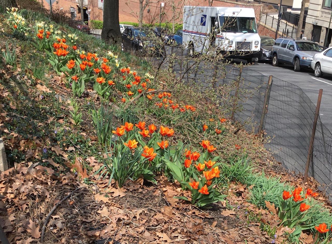 park across the street